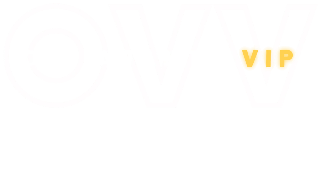 O Viajante VIP Elite